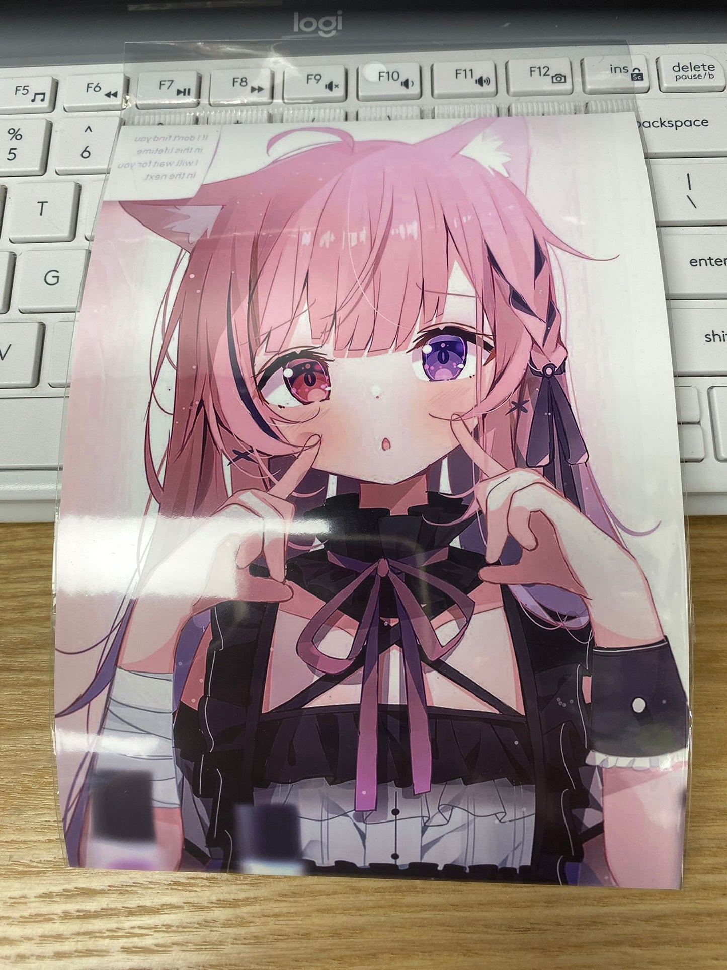 「現貨」(代印) Vtuber みけねこ mikeneko 隨機貼紙
