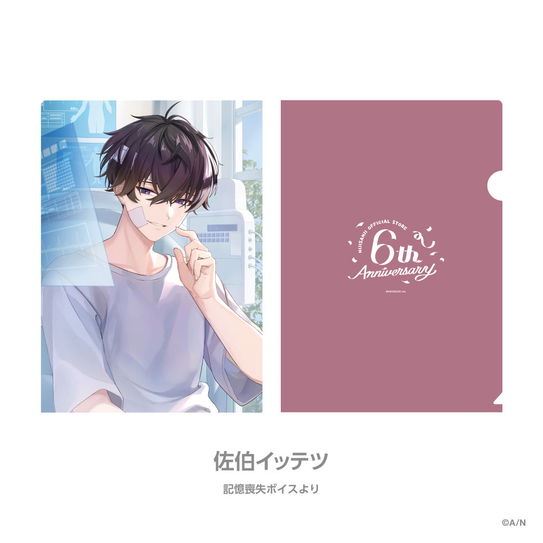 [預訂] Nijisanji 【にじストア6周年メモリアルグッズ】クリアファイル (A4file) [NIJISANJI Official Store 6th Anniversary]