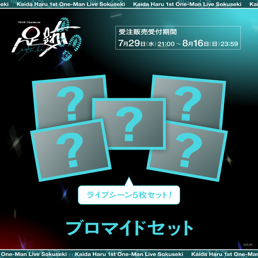 [預訂] Nijisanji 【甲斐田晴 1st Live 足跡】ブロマイドセット(隨機相片套裝)