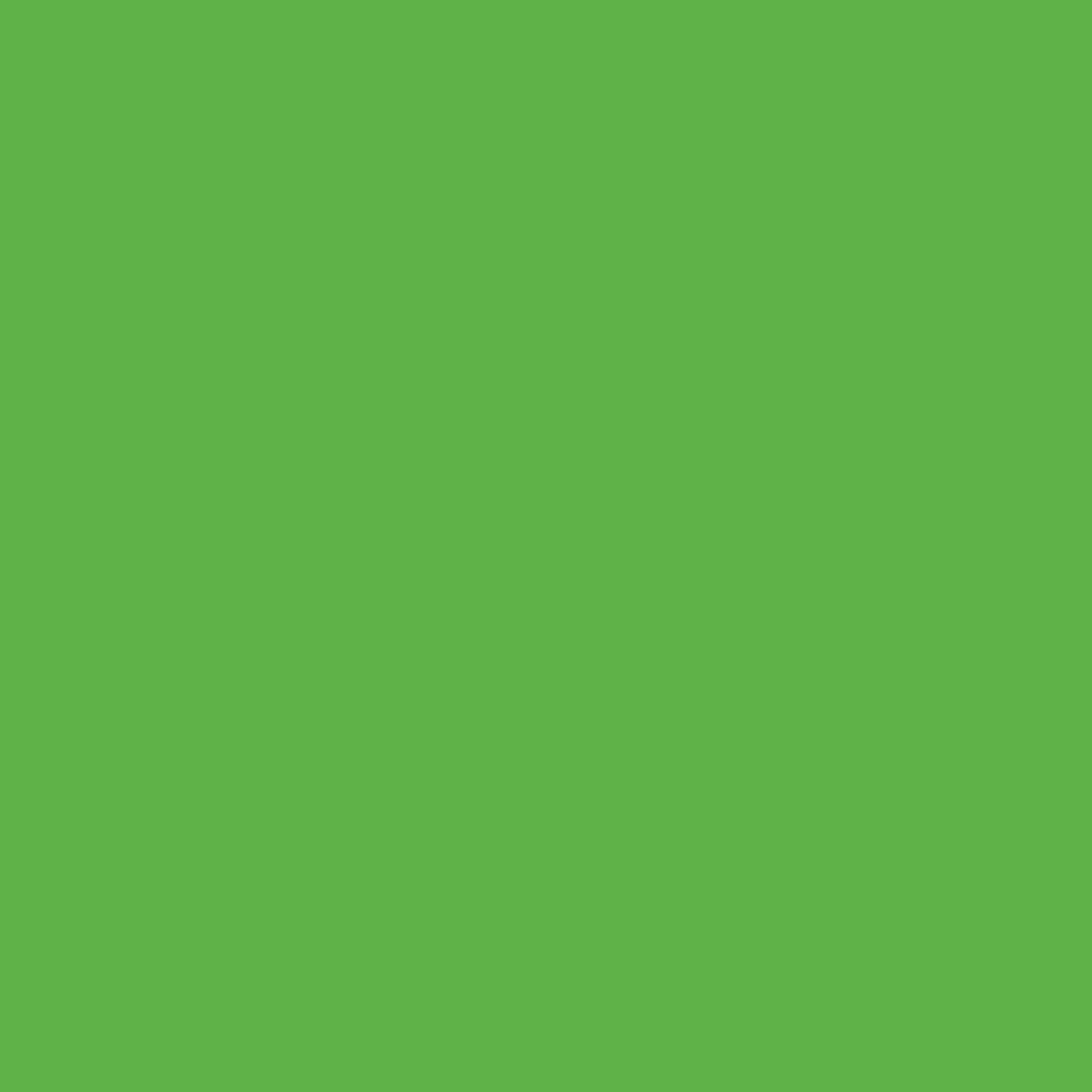 MTN 94 Fluorescent